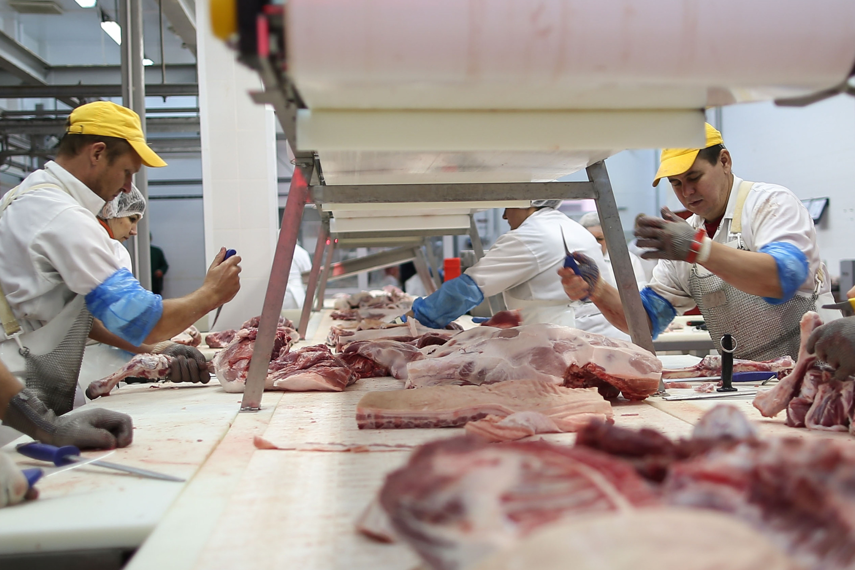 A cutting department at the Kuban meat-processing plant in the Krasnodar Territory