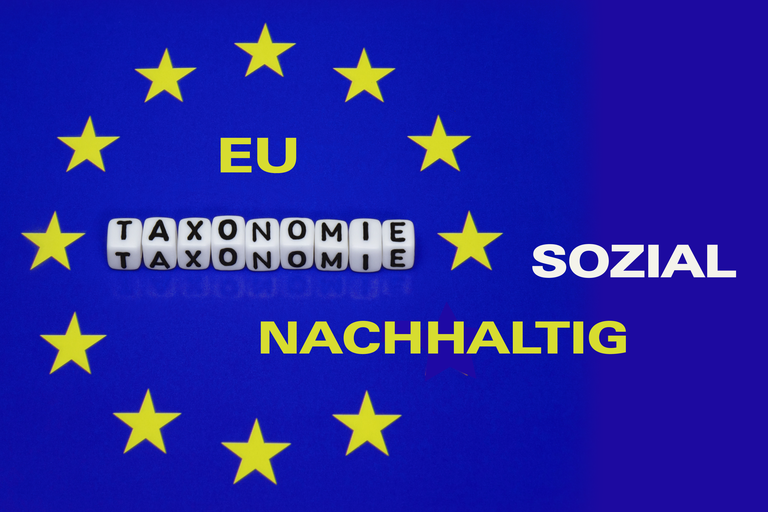 EU Sozialtaxonomie