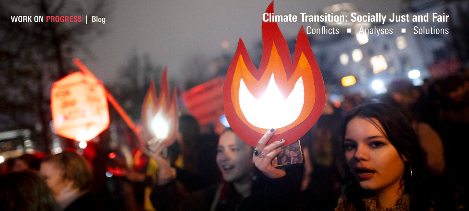 Women at a Fridays for Future demonstration